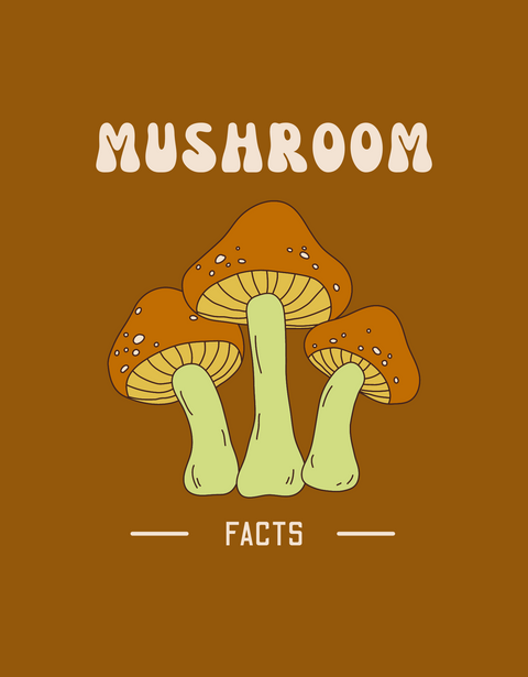 14 Unknown and interesting Facts about Mushrooms