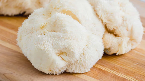 Is Lion's Mane Safe?