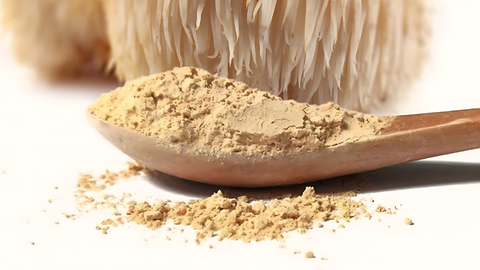What to Look For When Purchasing Lion's Mane