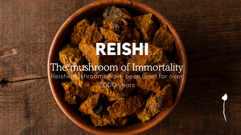 Reishi mushrooms for health