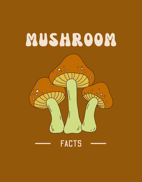 14 Unknown and interesting Facts about Mushrooms - You will be surprised!