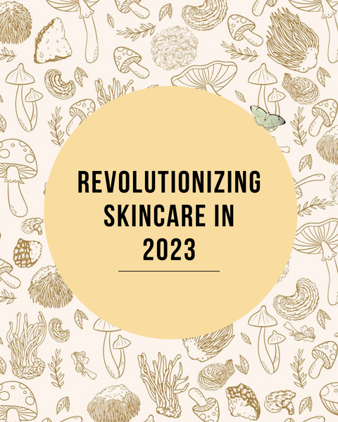 Defying Environmental Stressors: How Mushroom Powder Revolutionizes Skincare in 2023