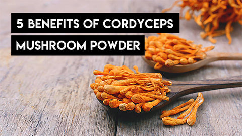 5 Benefits of Cordyceps Mushroom Powder