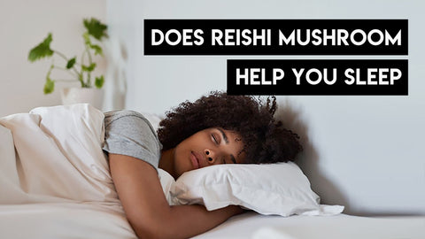 Does Reishi Mushroom Help You Sleep?