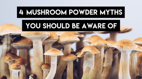 4 Mushroom Powder Myths You Should Be Aware of